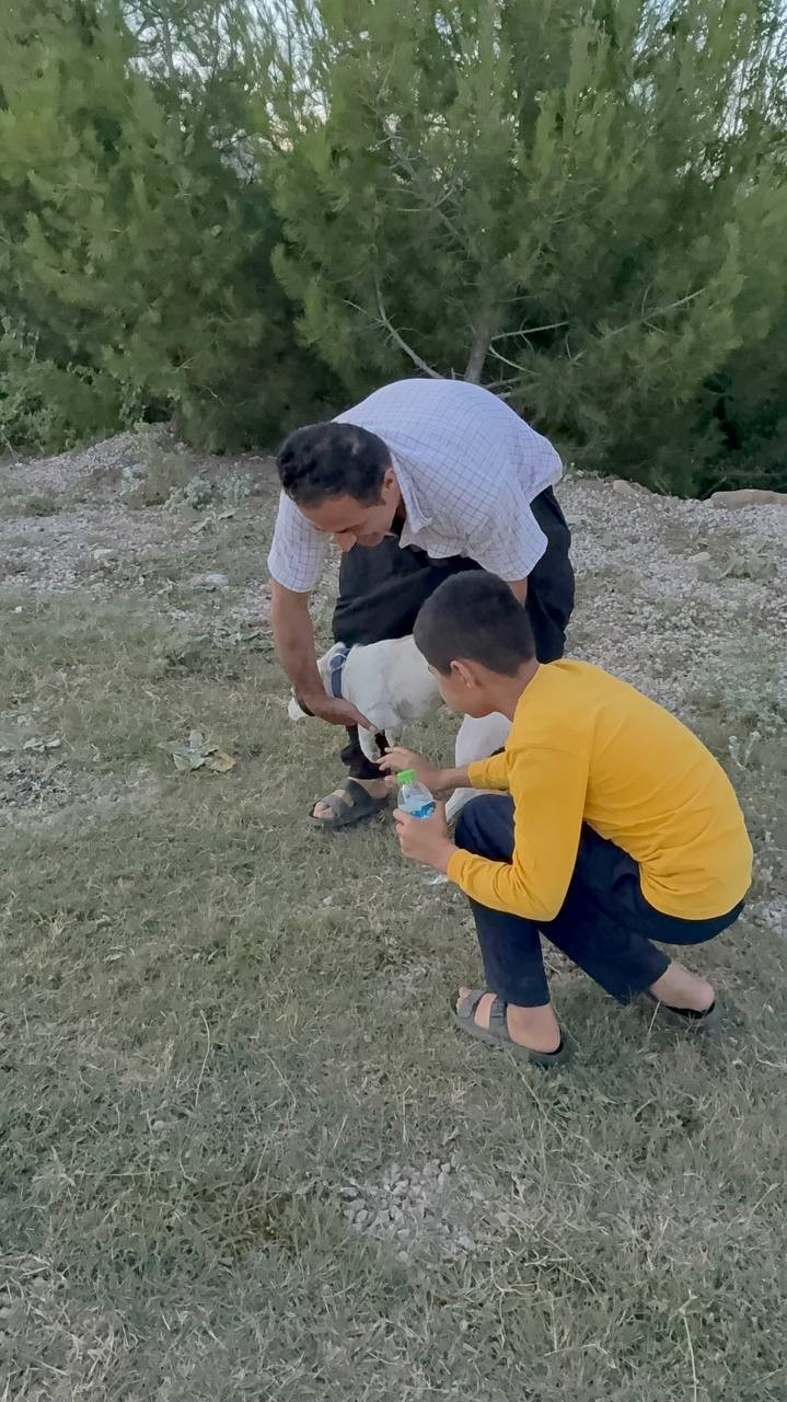 Kozan&rsquo;daki orman yangını: Kimi hayvanları i&ccedil;in, kimi de canlı yayın i&ccedil;in hayatını tehlikeye attı
