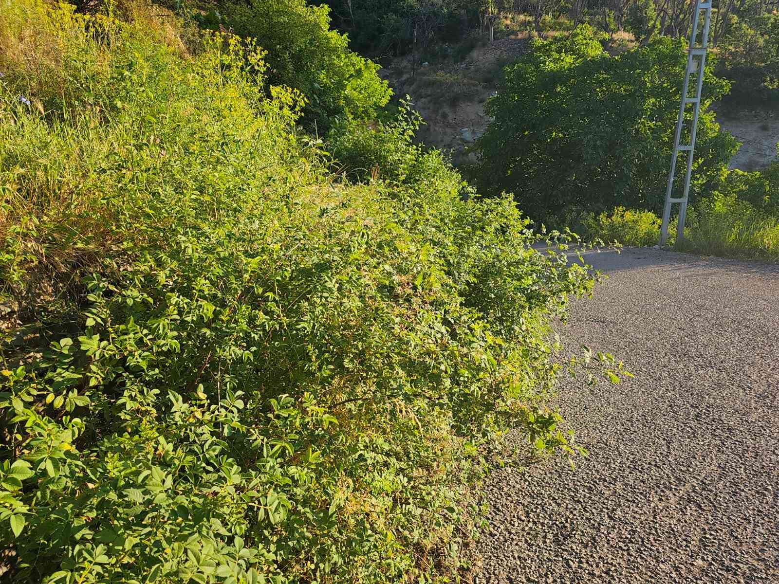 İspir’de görmezden gelinen tehlike