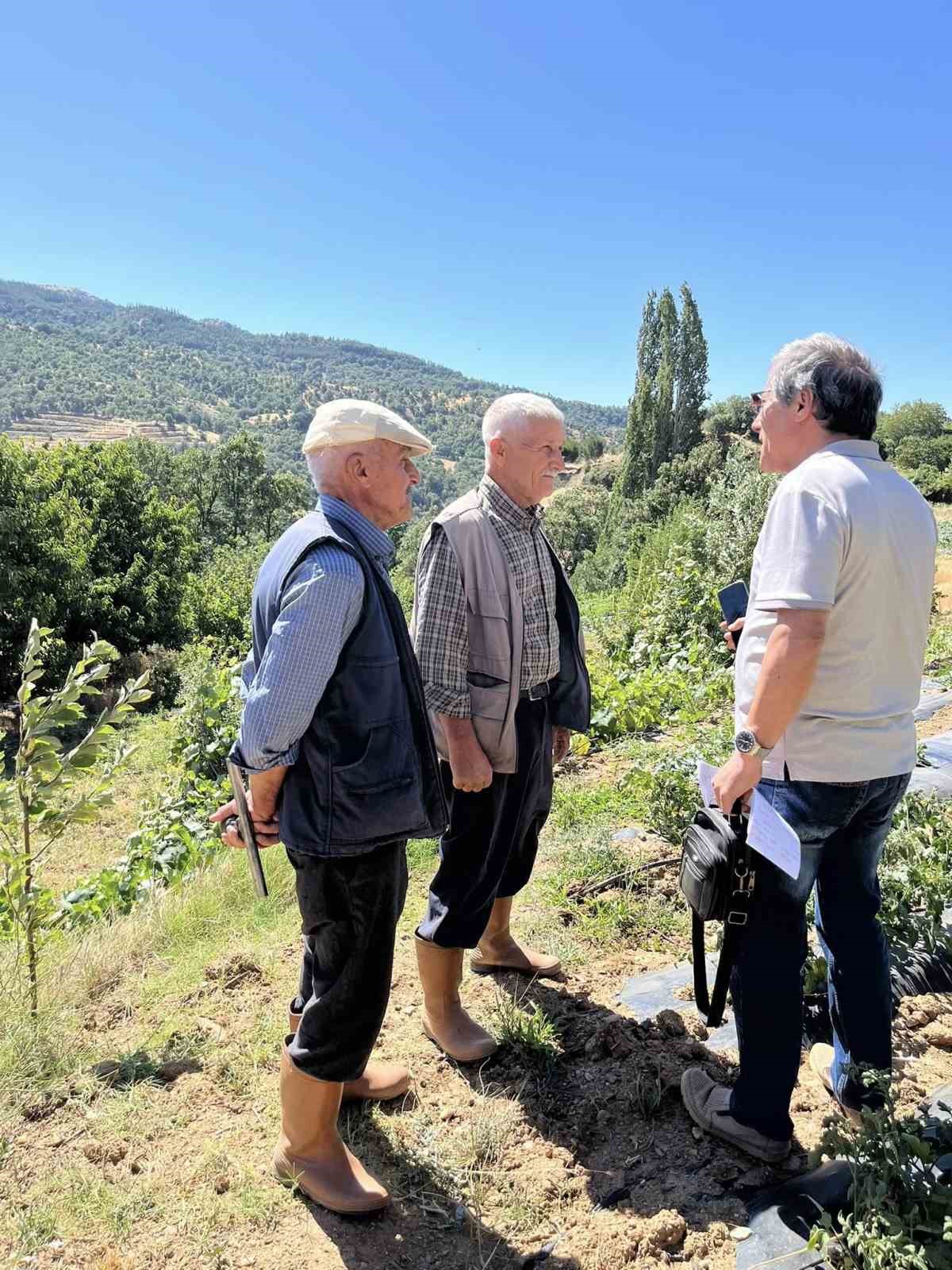 Kuyucak Tarım Müdürlüğü’nden üreticiye zararlı uyarısı
