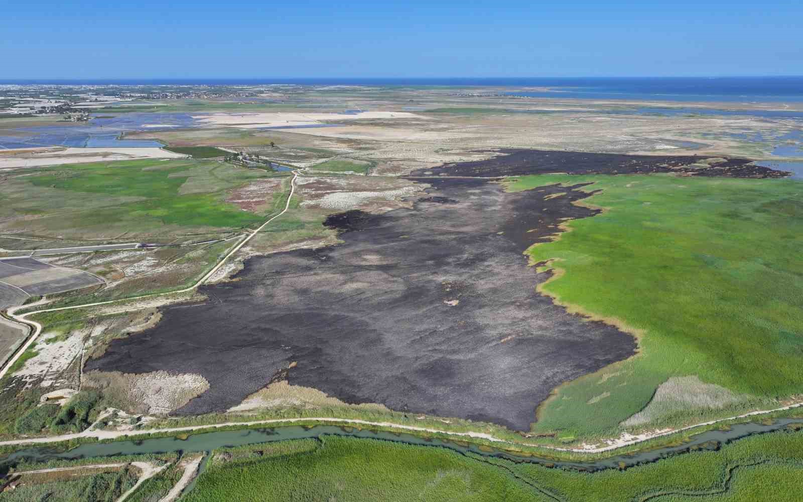 Kuş cenneti Göksu Deltası yangın sonrası havadan görüntülendi