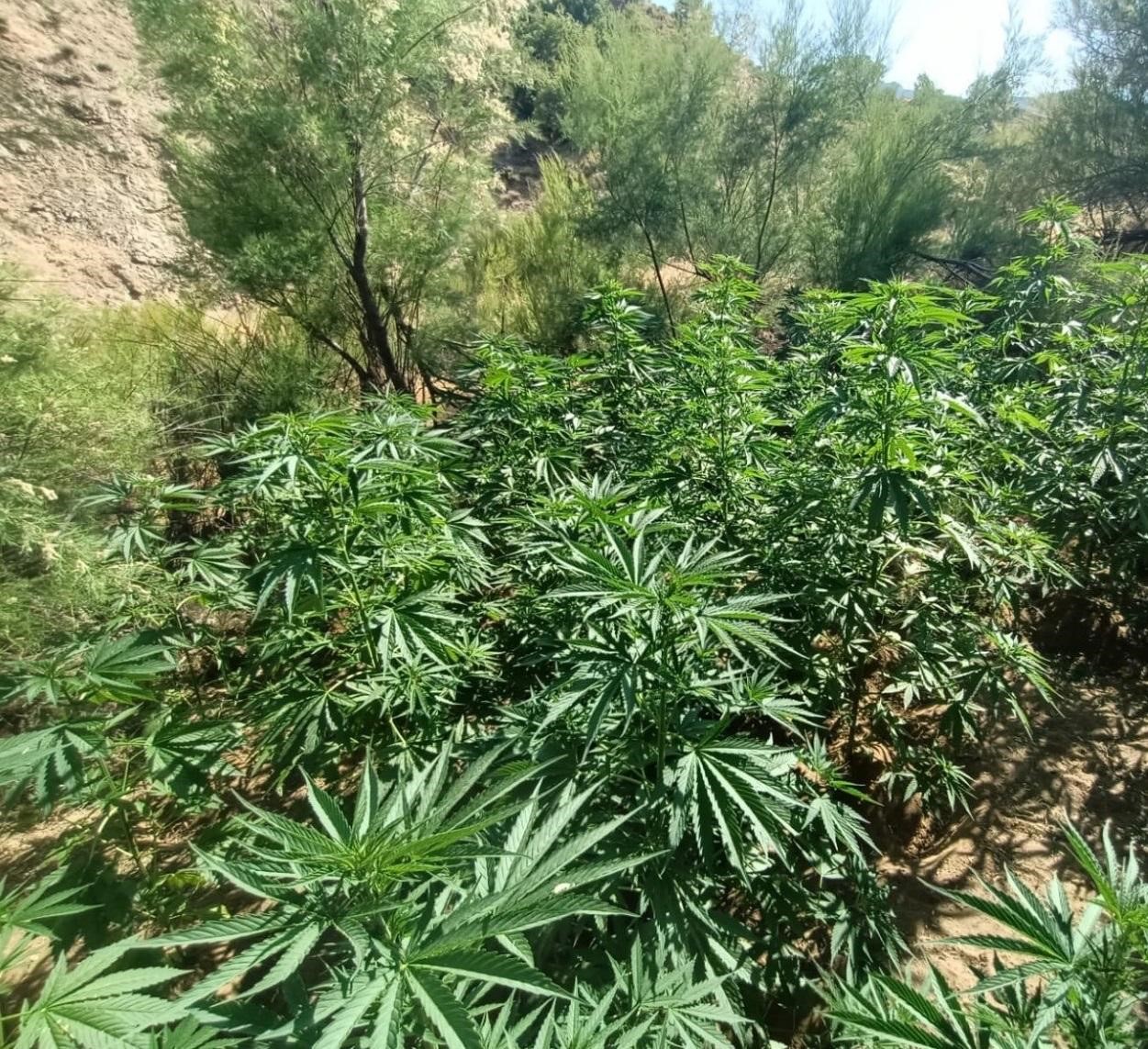 Bing&ouml;l&rsquo;de uyuşturucu operasyonu
