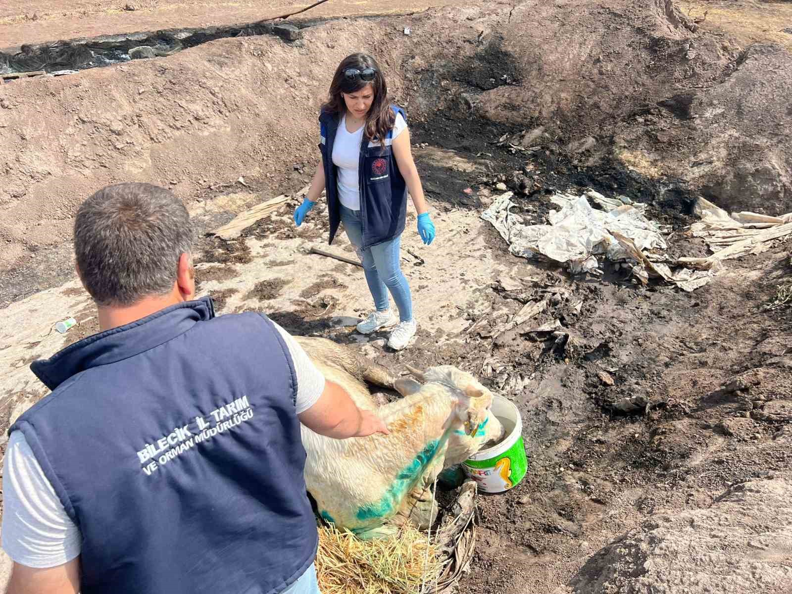 Bilecik’te acı bilanço ortaya çıktı