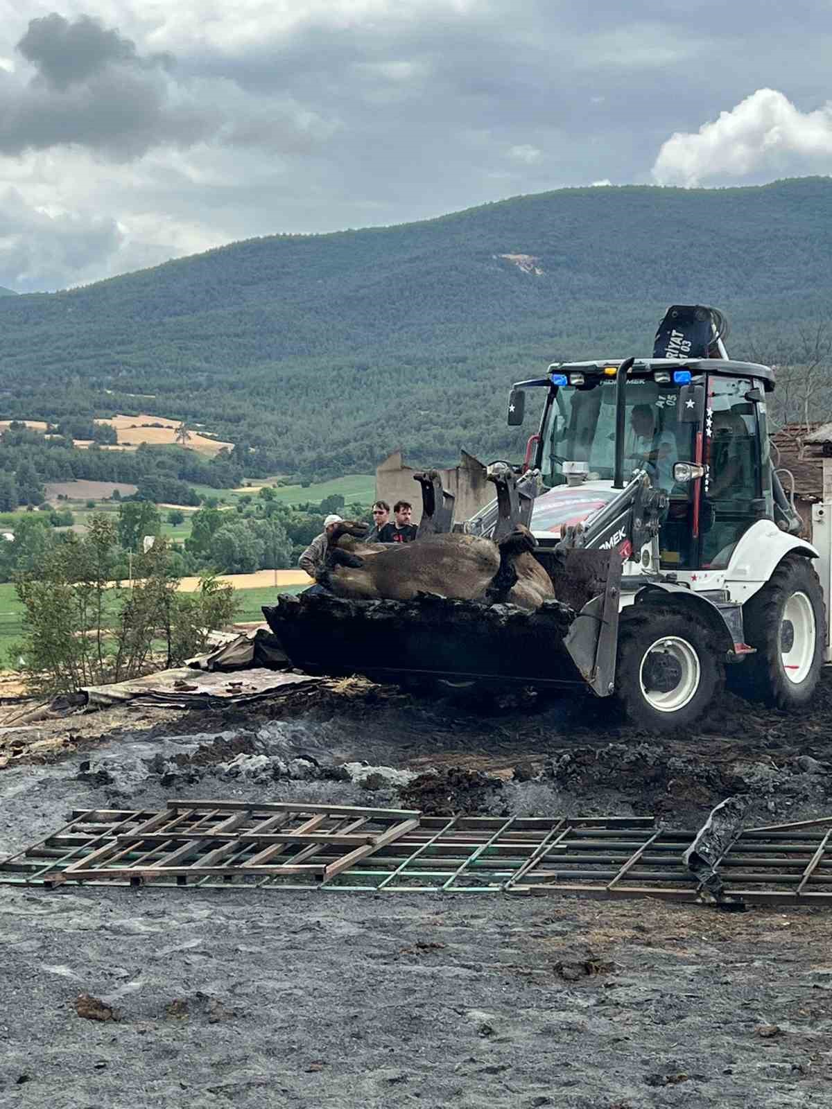Bilecik’te acı bilanço ortaya çıktı