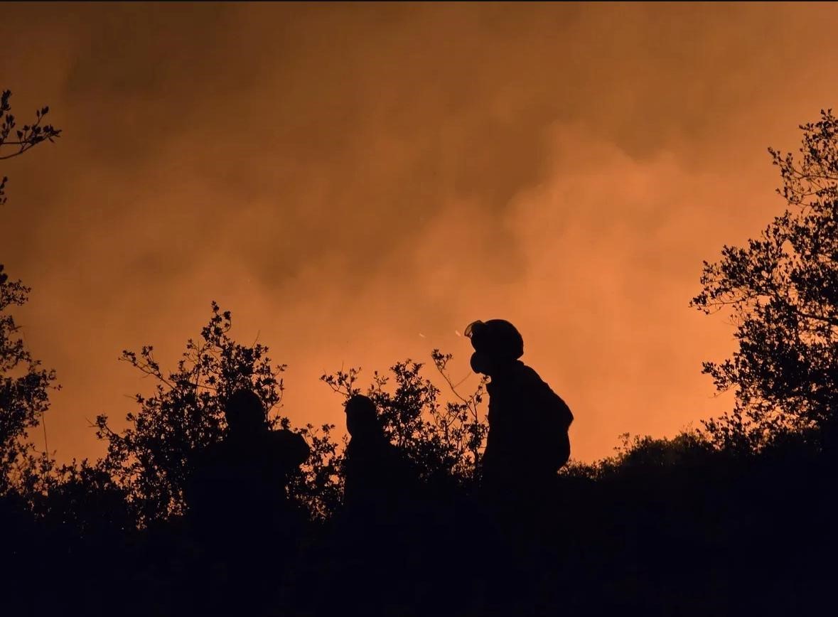 AKUT Eskişehir ekibi yanmak üzere olan hayvanları kurtardı