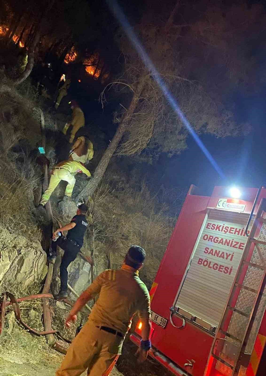 AKUT Eskişehir ekibi yanmak &uuml;zere olan hayvanları kurtardı
