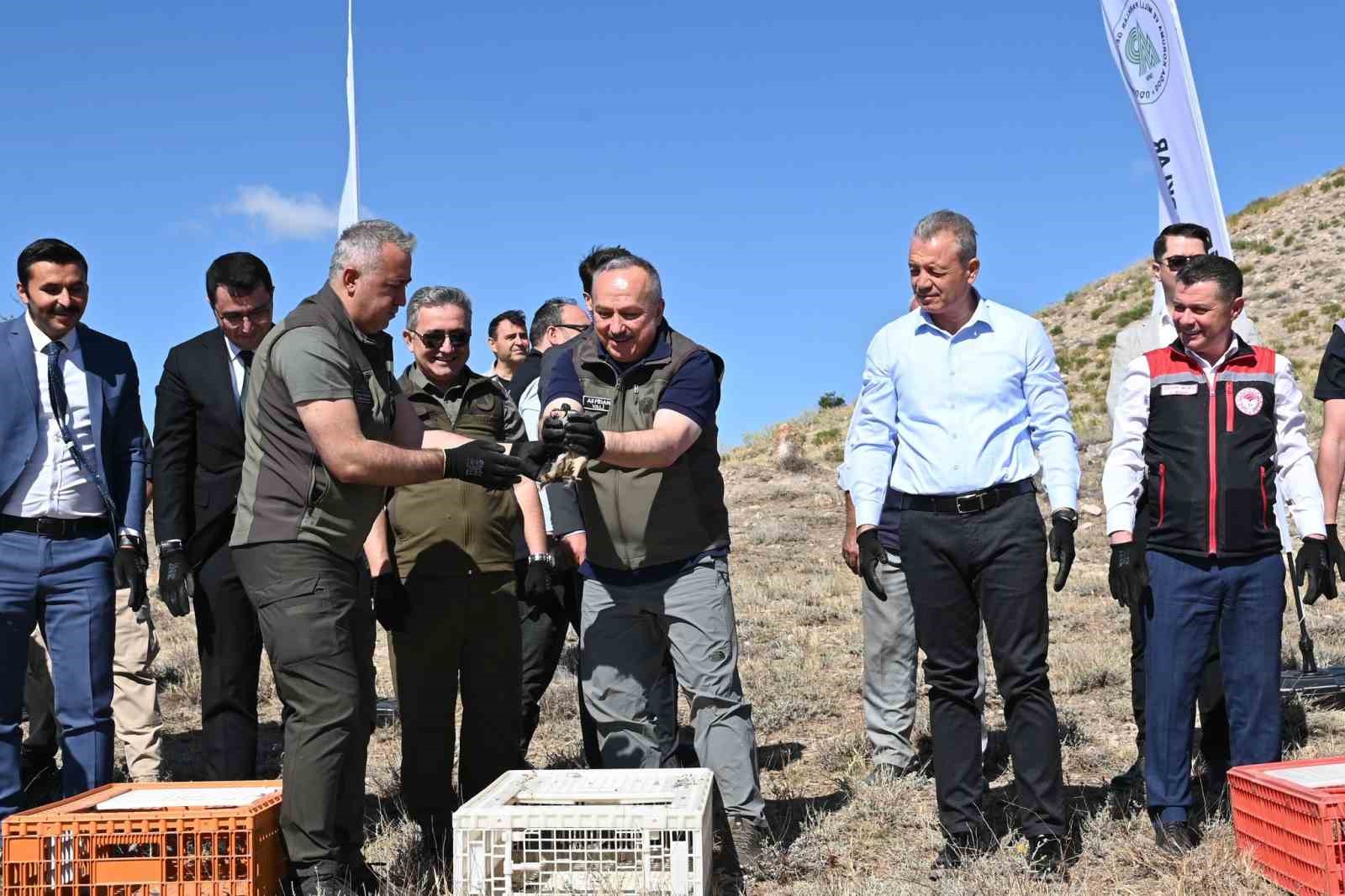 Nevşehir’de kene ile doğal mücadele
