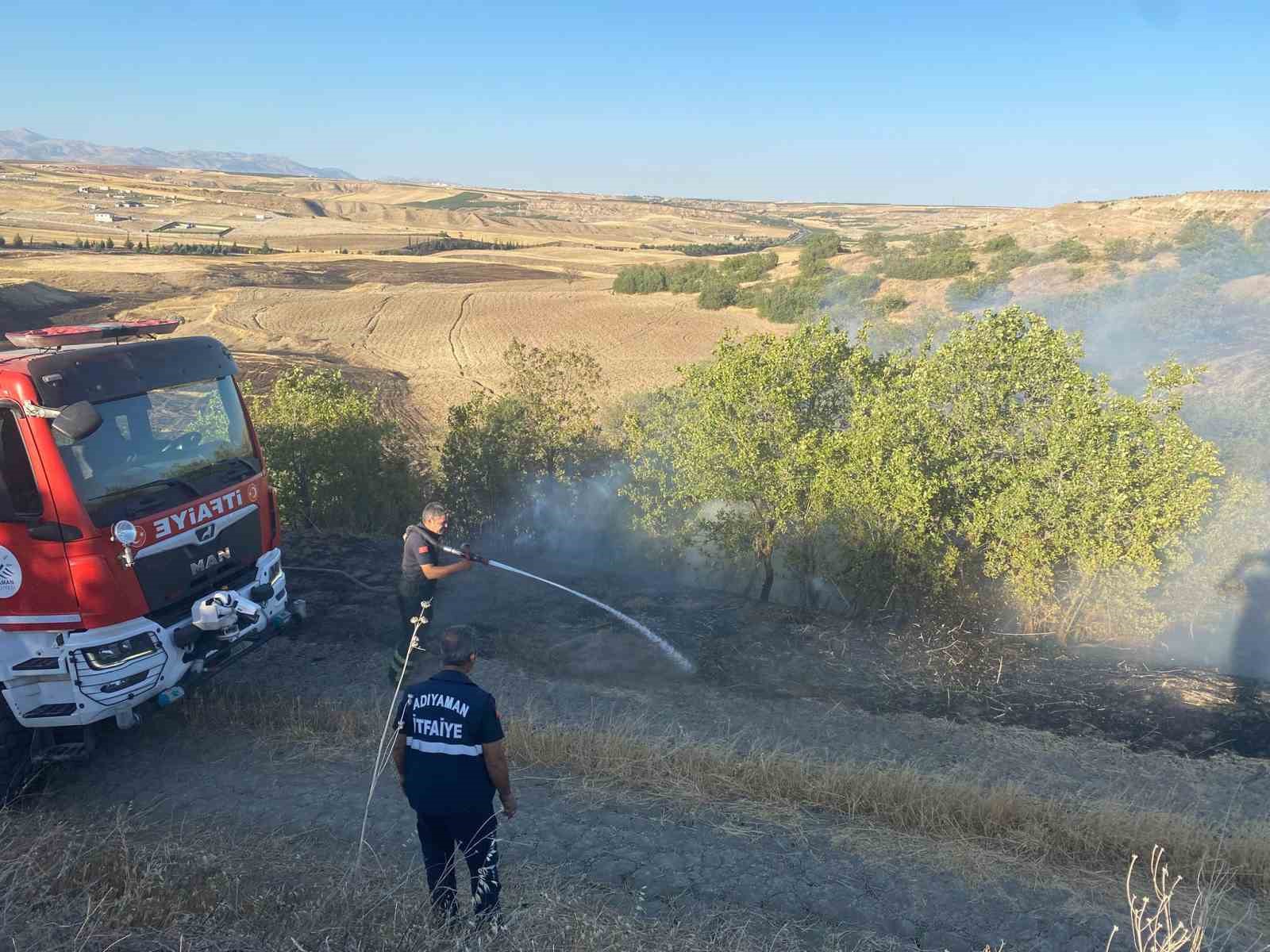 Anız yangını bahçelere sıçradı