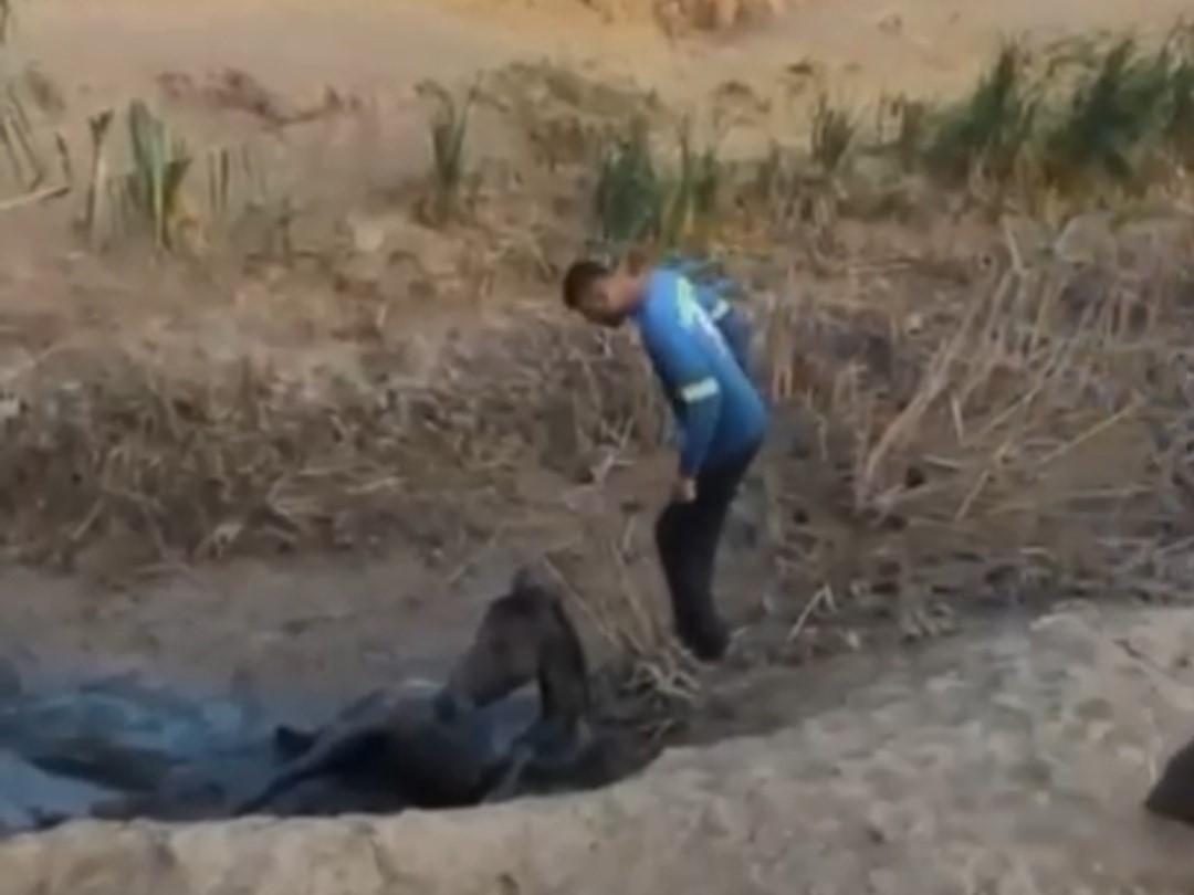 &Ccedil;amura saplanan atı k&ouml;yl&uuml;ler kurtardı
