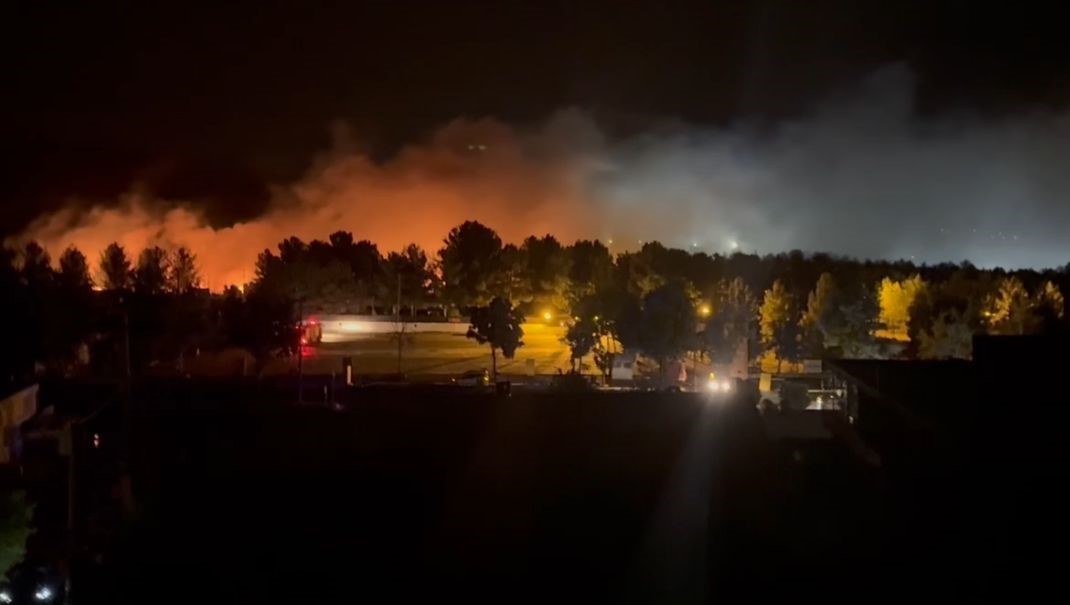 Mardin’de orman yangını