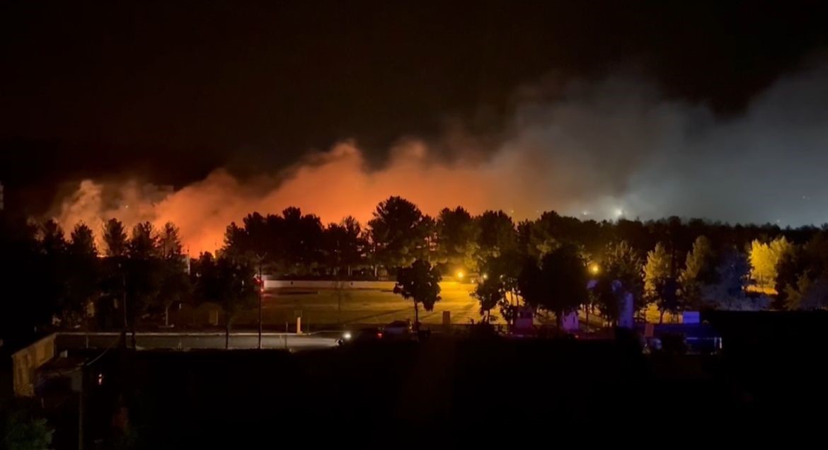 Mardin’de orman yangını