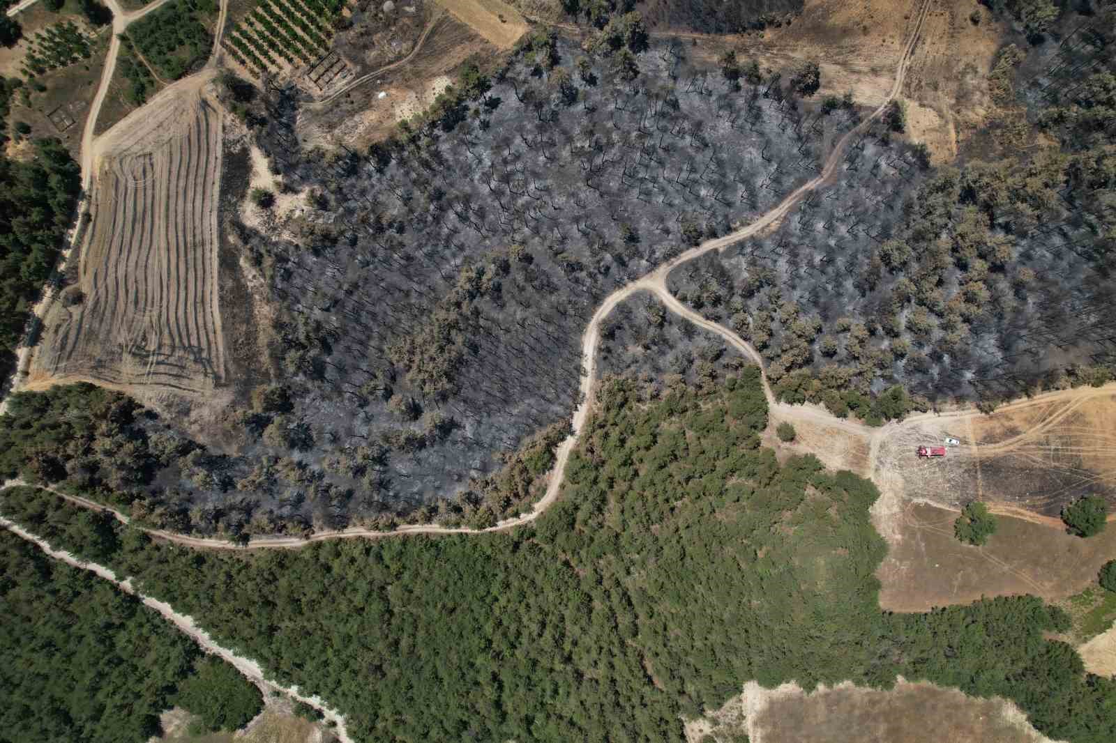 Taraklı orman yangınından geriye kalanlar