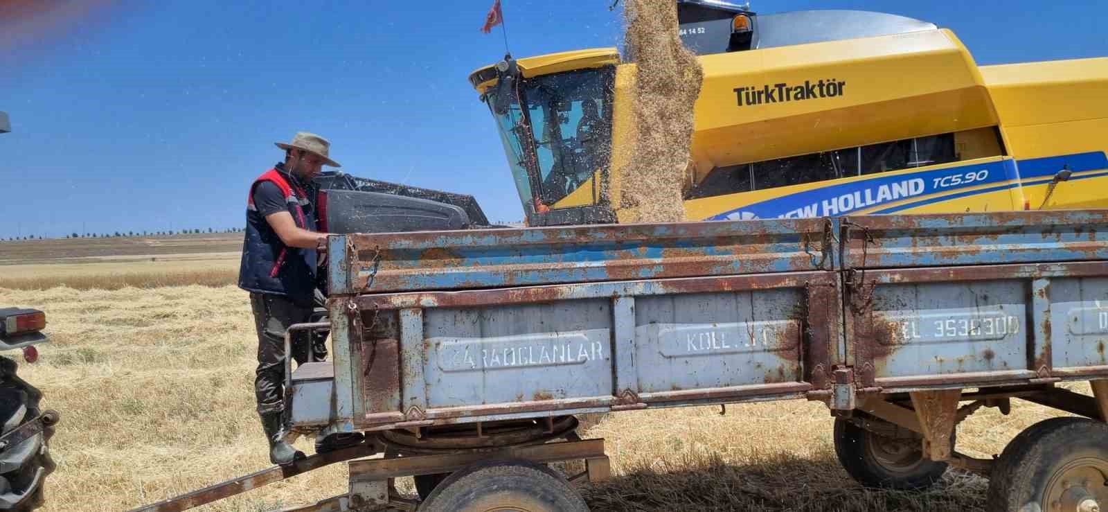 Biçerdöver kontrolleri hızlandı