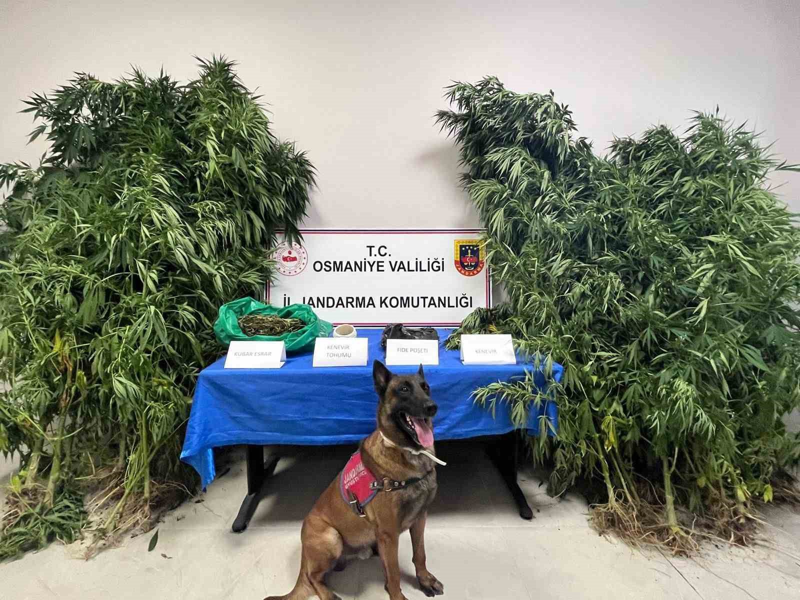 Osmaniye’de 1 haftada 105 şüpheli yakalandı