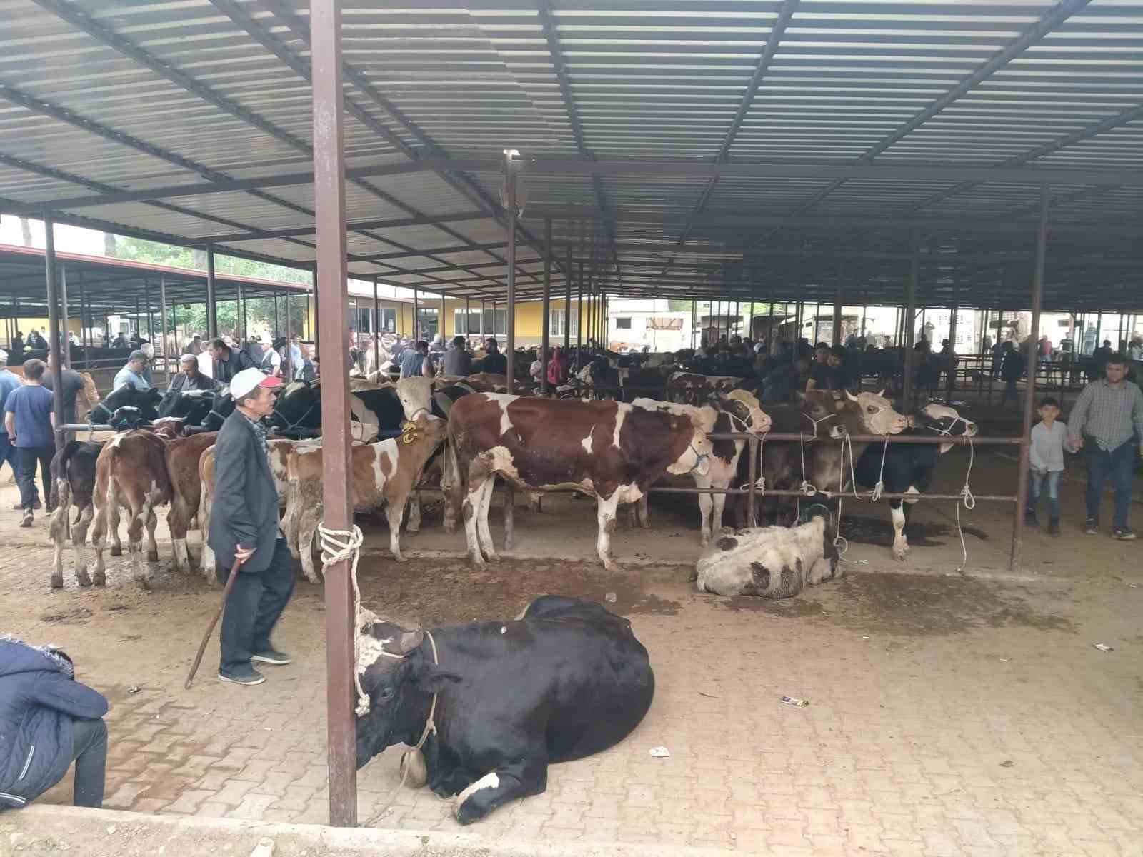 Aydın&rsquo;da hayvan pazarları şap hastalığı tedbirleri kapsamında kapatıldı
