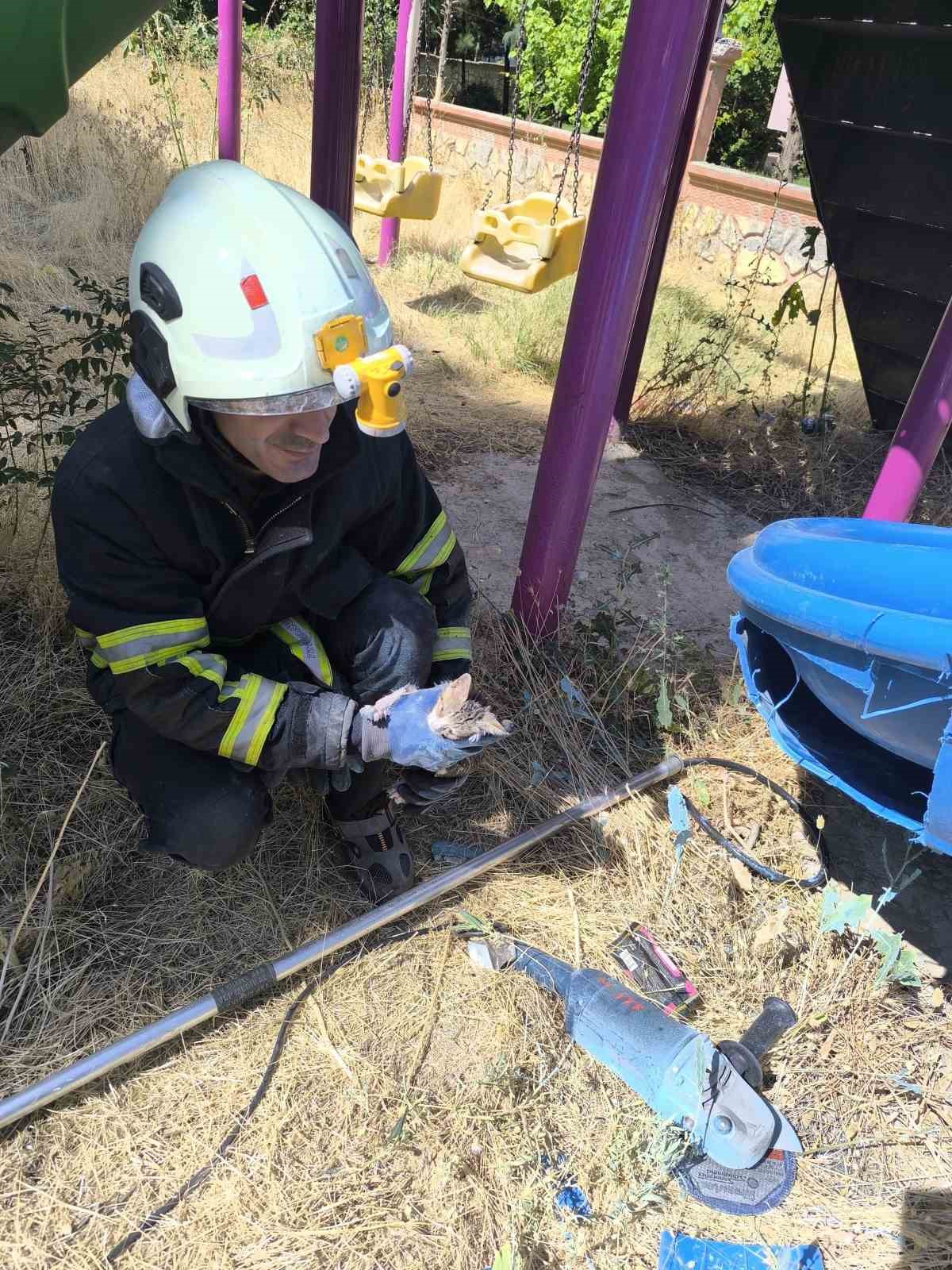 Batman’da kaydırağa sıkışan kediyi itfaiye ekipleri kurtardı