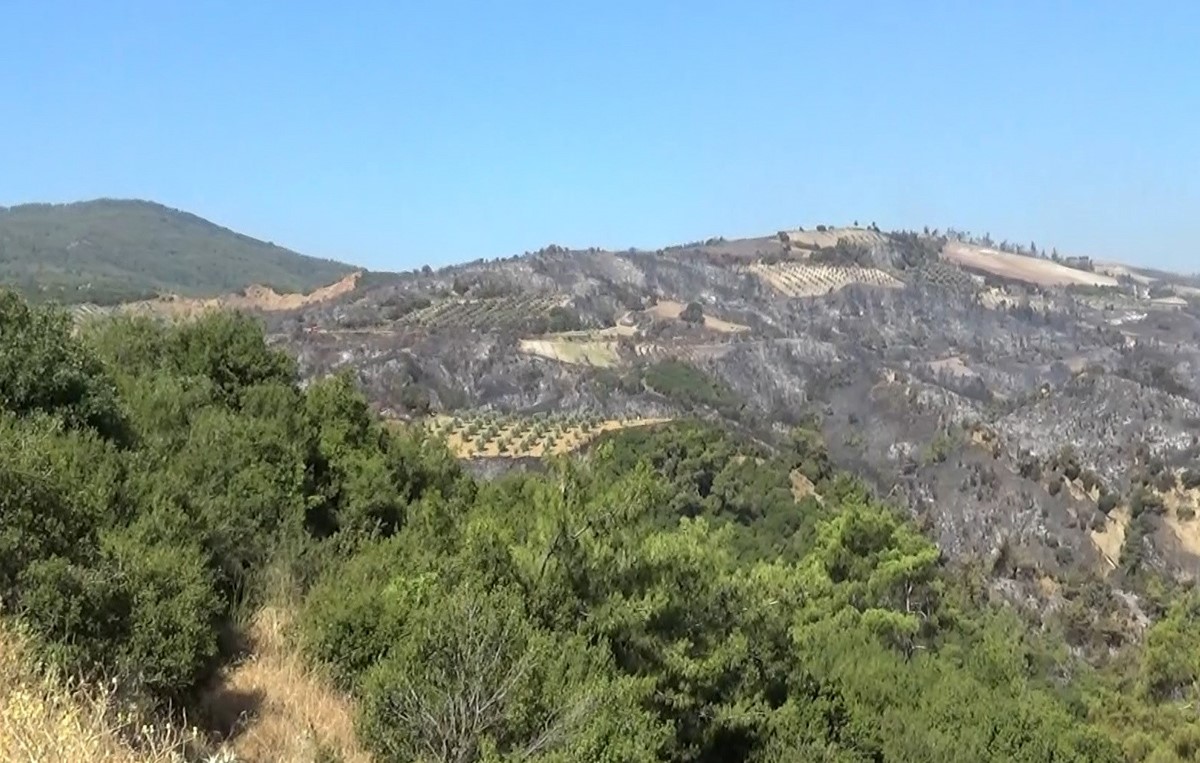 Ahmetli&rsquo;deki orman yangını kontrol altına alınmaya &ccedil;alışılıyor
