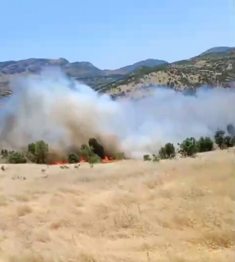 Gerger’de korkutan orman yangını