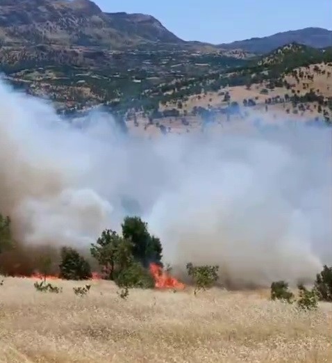 Gerger&rsquo;de korkutan orman yangını
