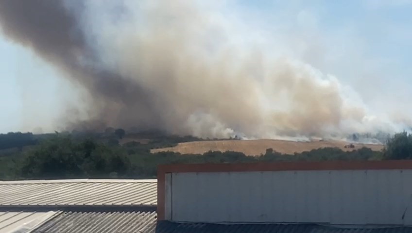 Bursa&rsquo;da orman yangını
