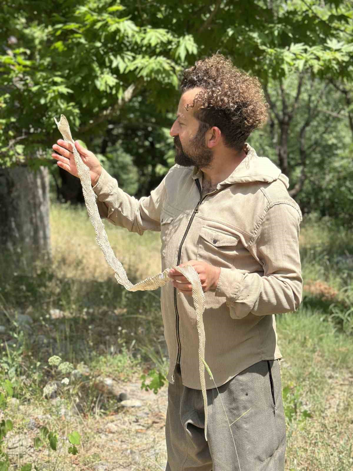 Y&uuml;ksekova&rsquo;da en zehirli t&uuml;rlerden birine ait olduğu değerlendirilen yılan derisi bulundu
