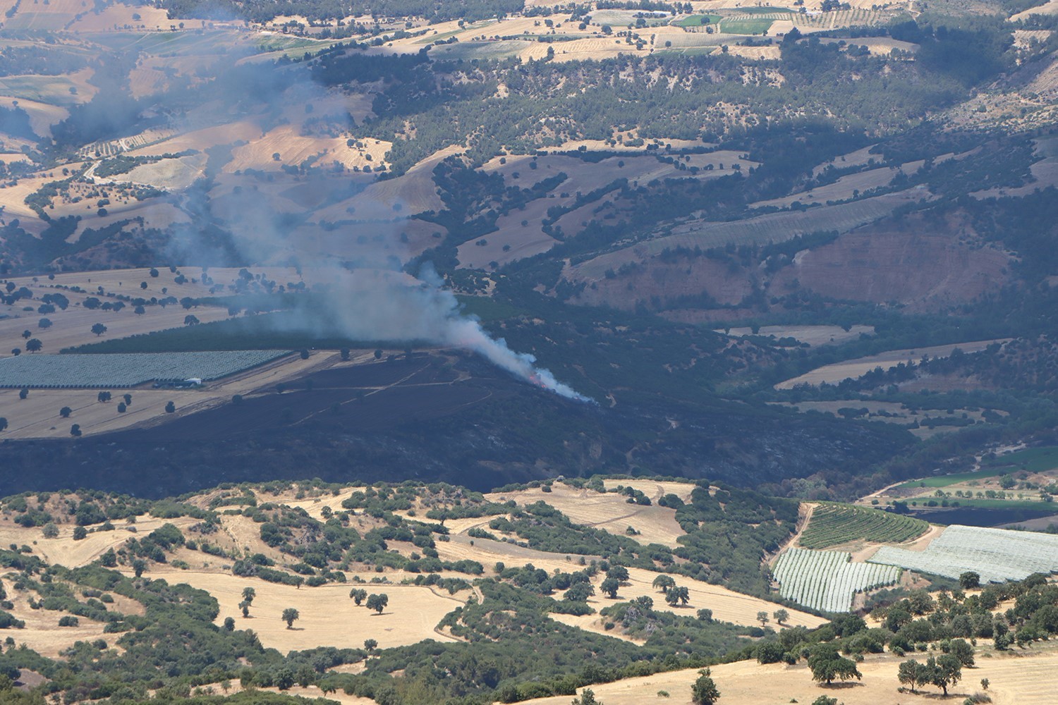 Kula&rsquo;da orman yangınına m&uuml;dahale s&uuml;r&uuml;yor
