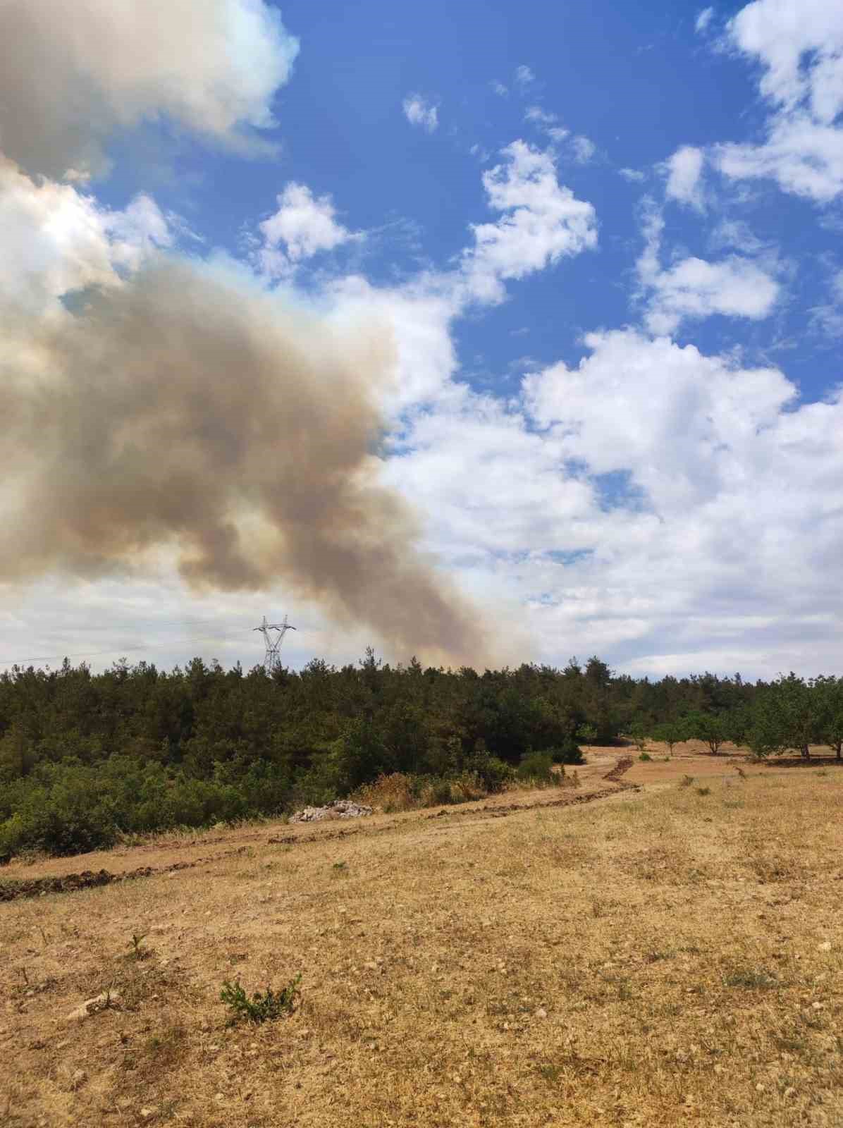Bilecik&rsquo;te orman yangını başladı
