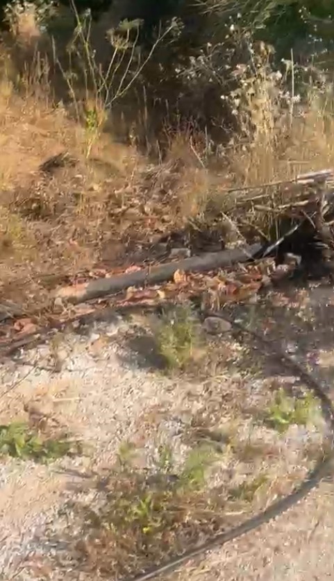 Havalar ısındı, trafo ve elektrik direk yangınları başladı
