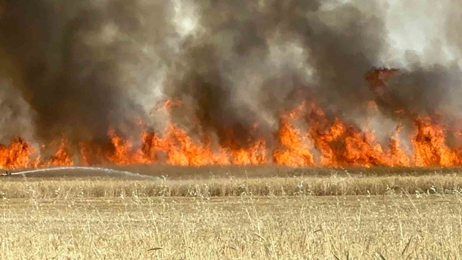 Elazığ’da arazi yangını: Ekili alanlar da küle döndü
