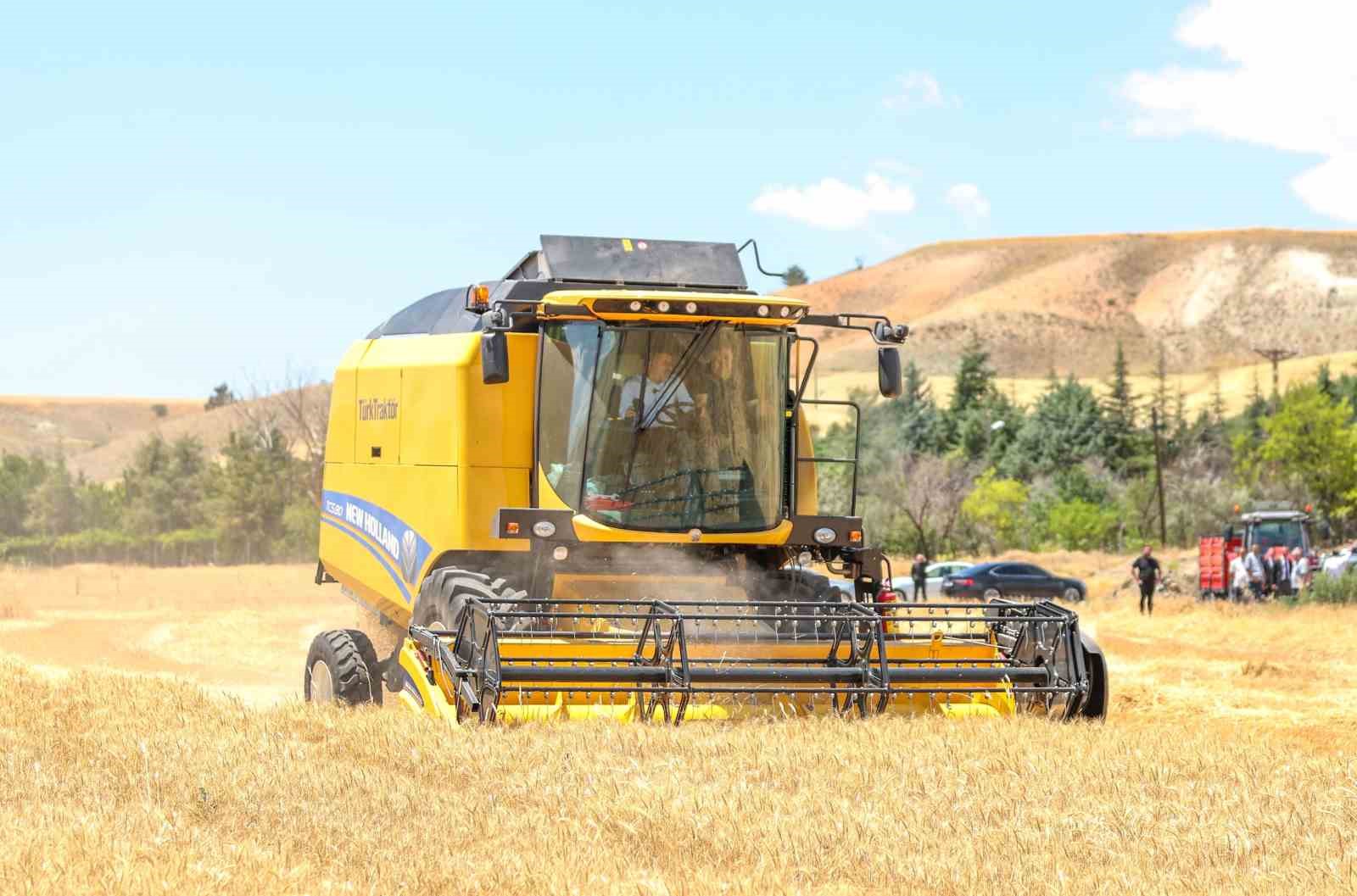 Sincan&rsquo;da tahıl hasadı başladı
