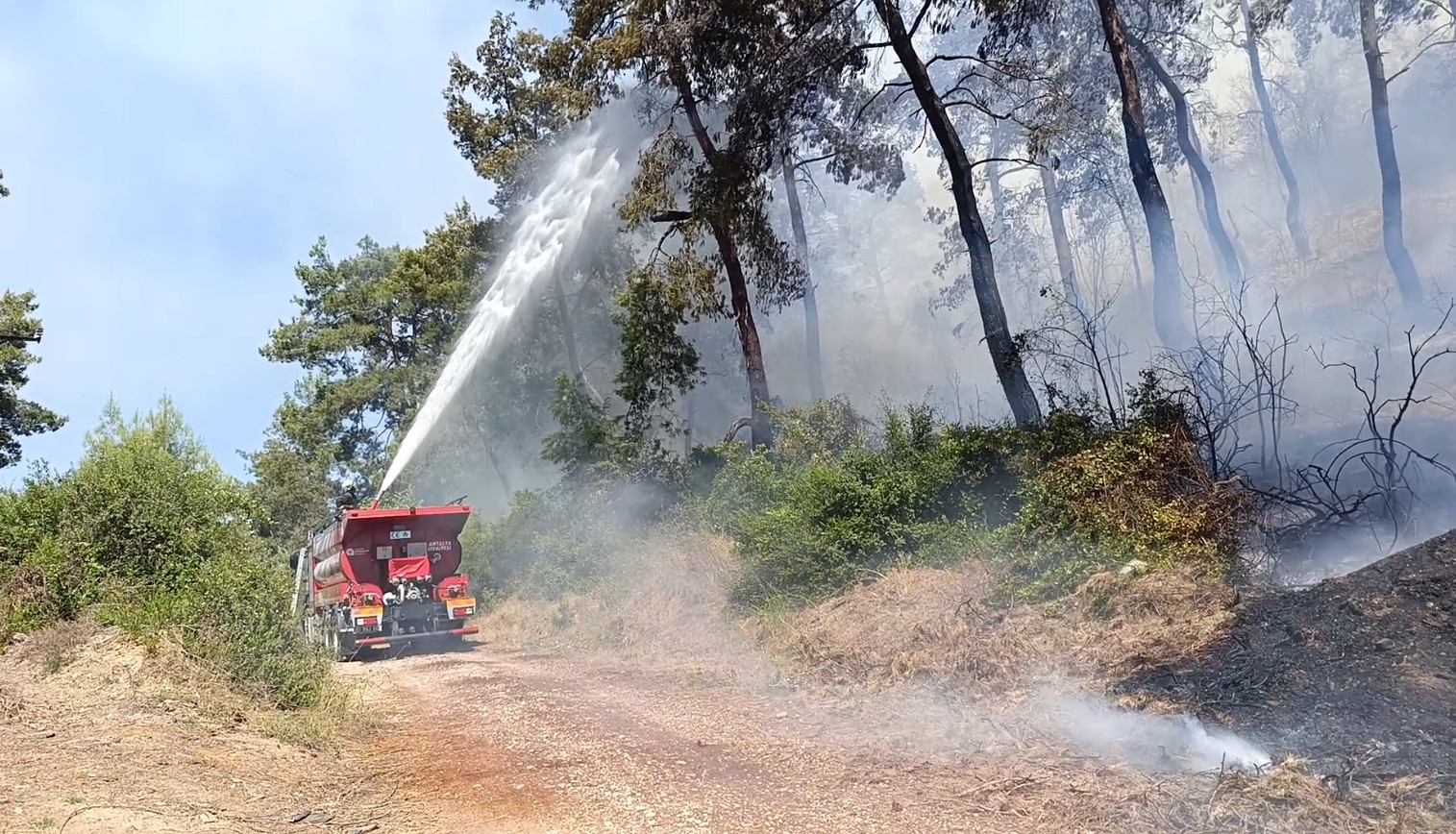 Manavgat’ta ormanlık alan yangınında 3 hektar alan zarar gördü