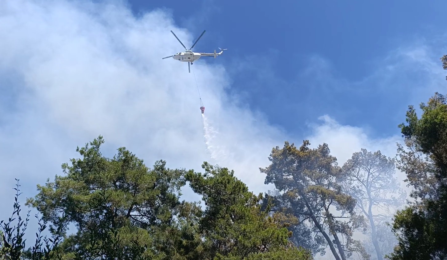 Manavgat&rsquo;ta ormanlık alan yangınında 3 hektar alan zarar g&ouml;rd&uuml;
