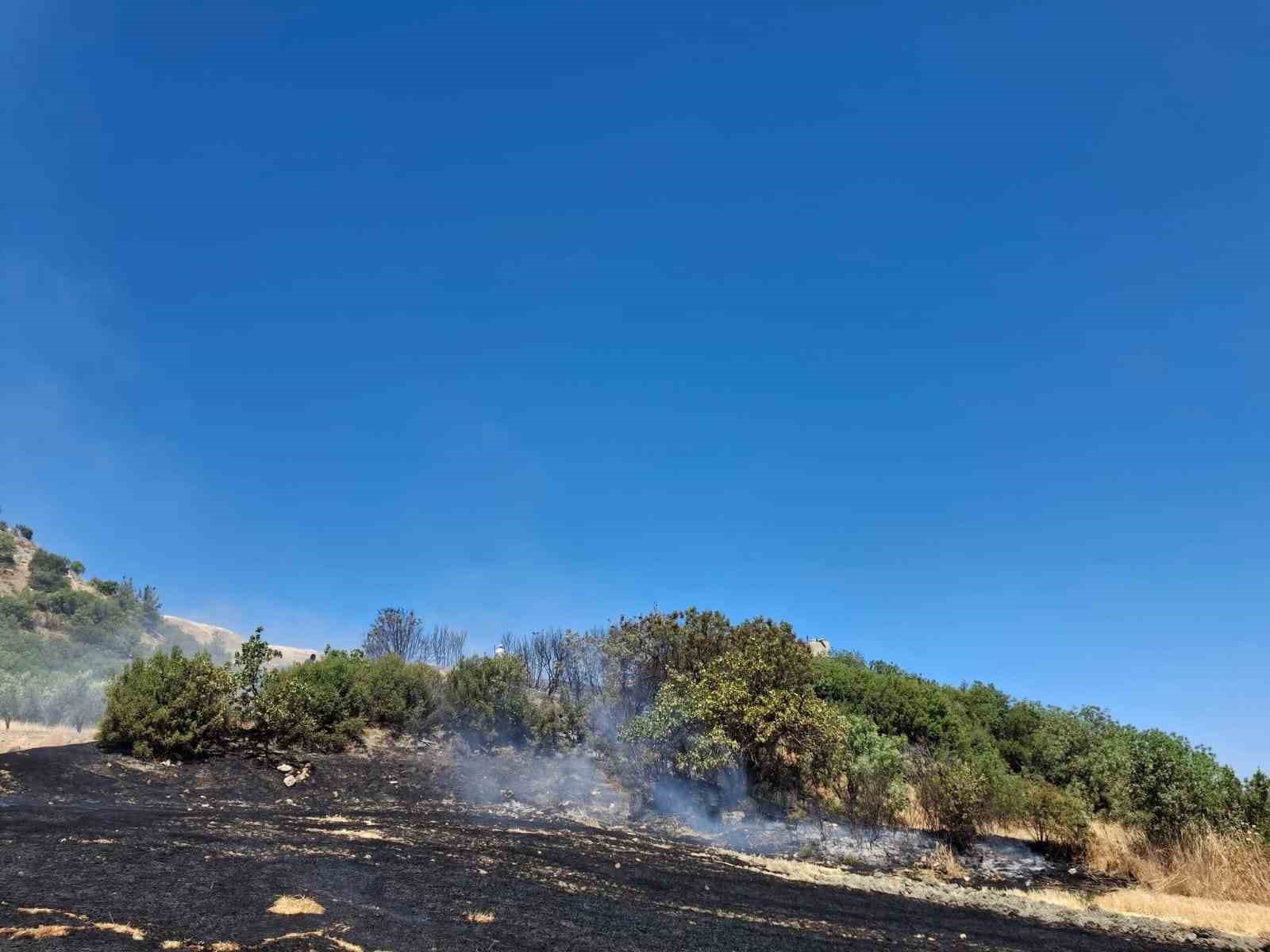 Selendi’de anız yangını korkuttu