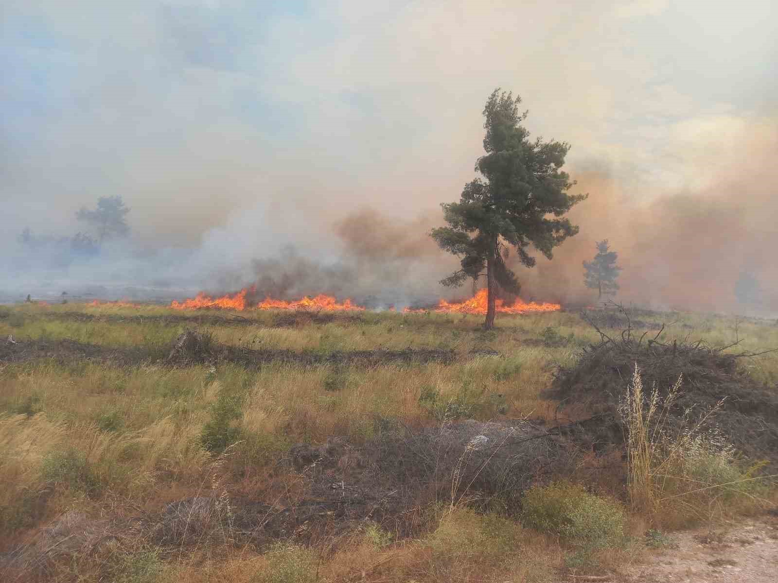 Bilecik&rsquo;teki orman yangınına m&uuml;dahale s&uuml;r&uuml;yor: Dumanlar kent merkezine kadar geldi

