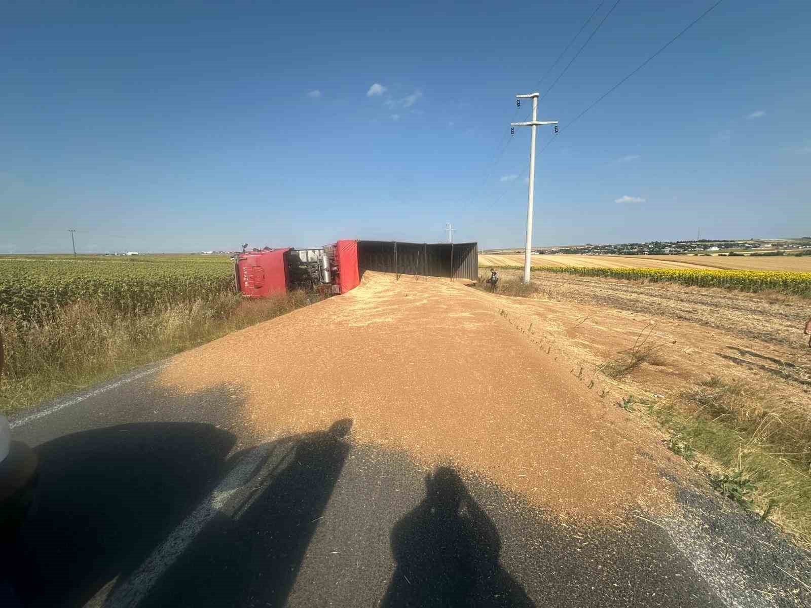 Buğday yüklü kamyon devrildi, sürücü yaralandı