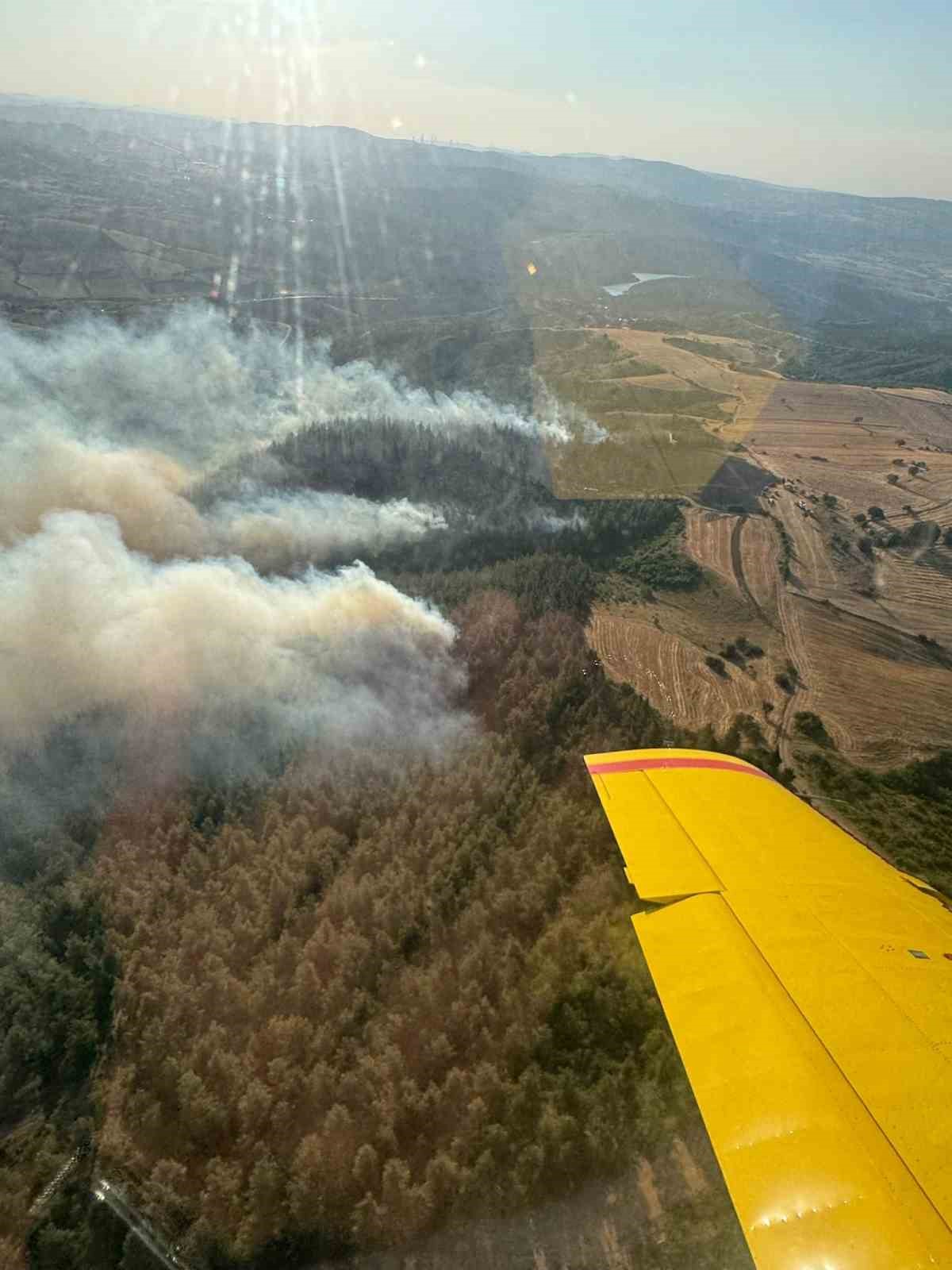 Balıkesir&rsquo;de orman yangını

