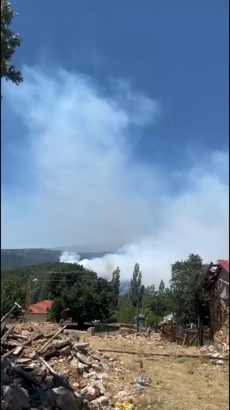Isparta&rsquo;daki orman yangınında 20 hektar alan zarar g&ouml;rd&uuml;
