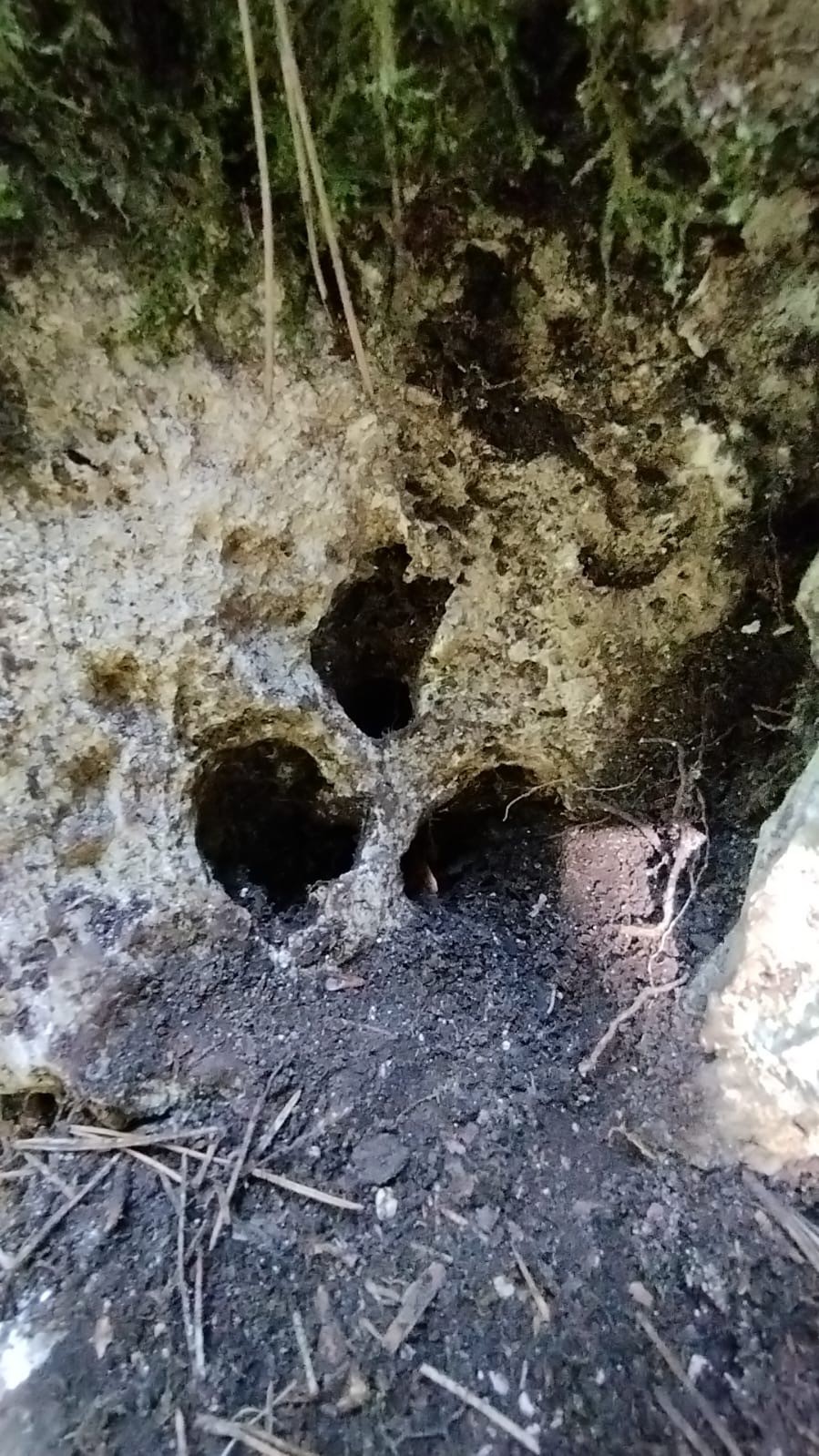 Bursa&rsquo;da ka&ccedil;ak kazıya su&ccedil;&uuml;st&uuml;
