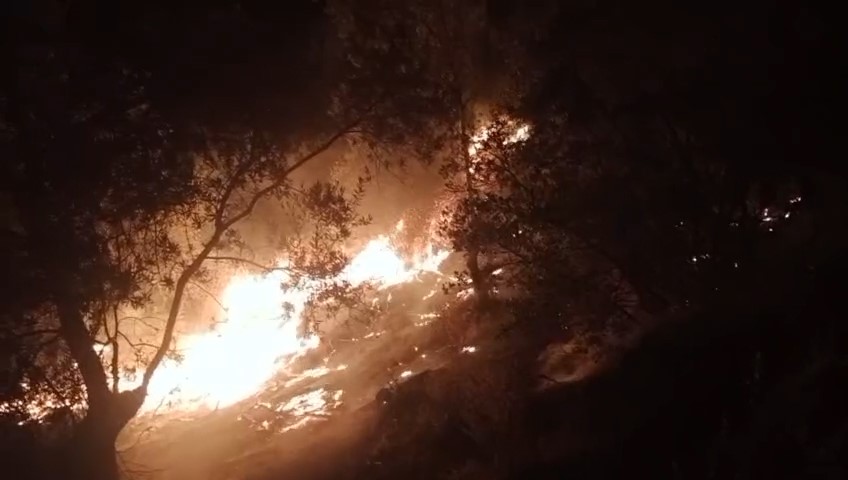 Balıkesir&rsquo;de zeytinlik alanda &ccedil;ıkan yangına ekipler m&uuml;dahale ediyor
