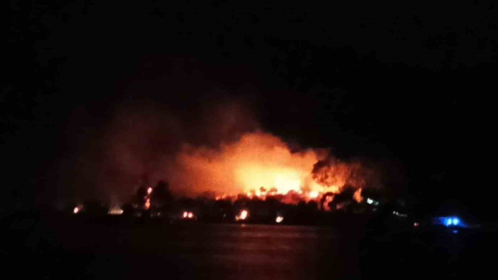 Milas’ta orman yangını