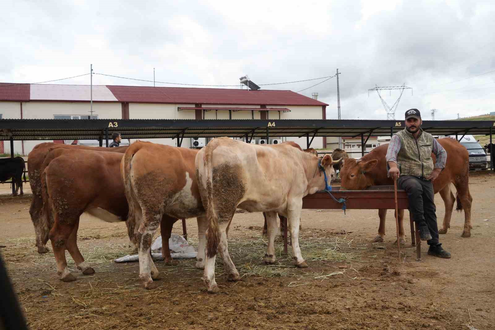 Hayvan pazarı geçici süreyle kapatıldı