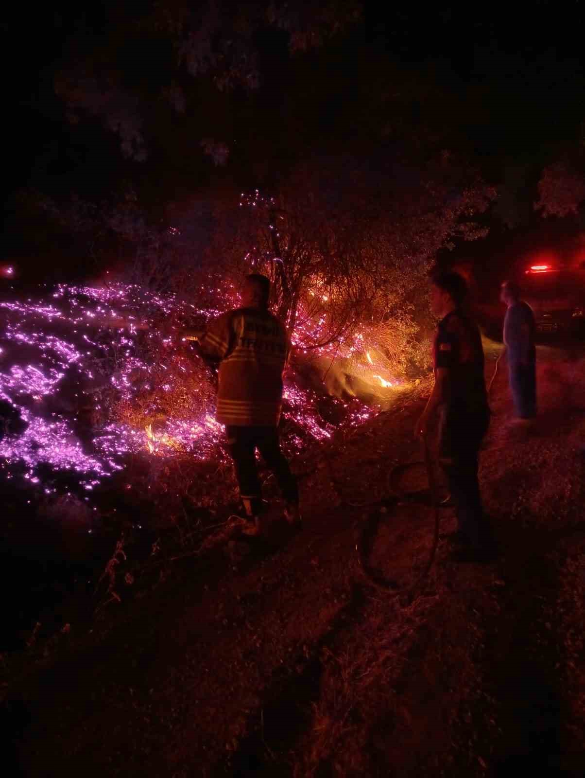 Çöp yangını ormana sıçradı