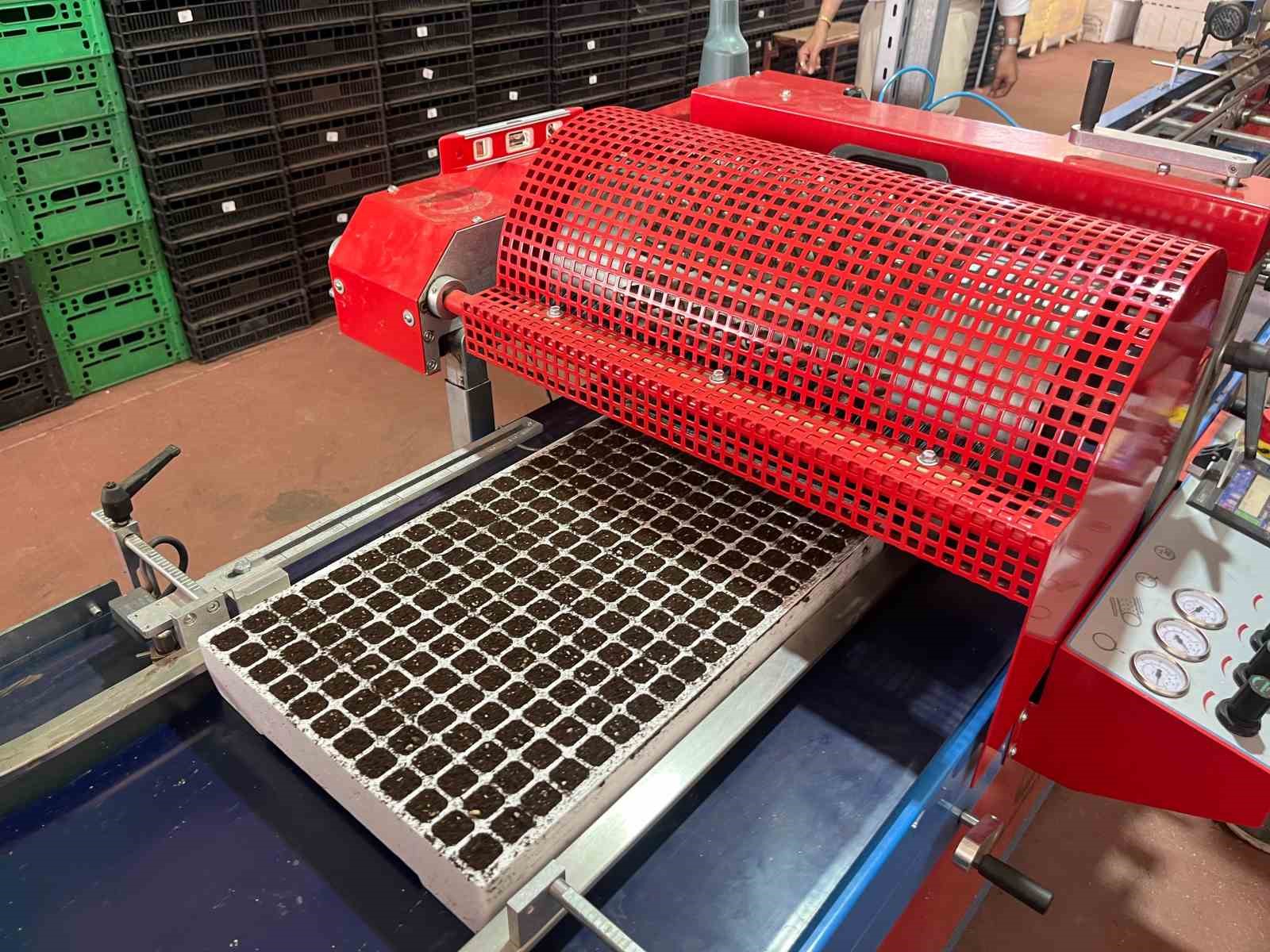 Eskişehir&rsquo;den 10 milyon bitki fidesi T&uuml;rkiye&rsquo;nin d&ouml;rt bir yanına g&ouml;nderiliyor
