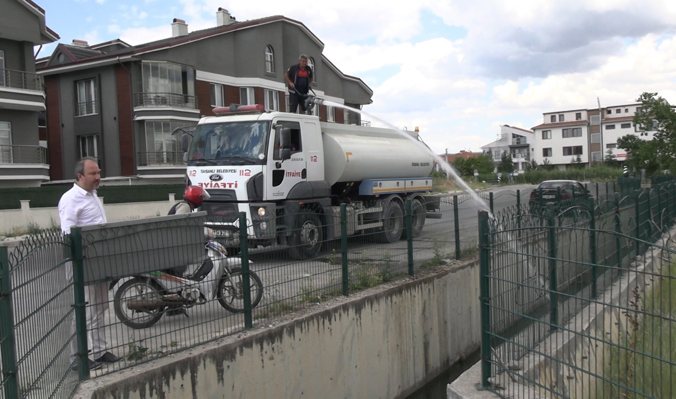 Tavşanlı&rsquo;da balık &ouml;l&uuml;mleri
