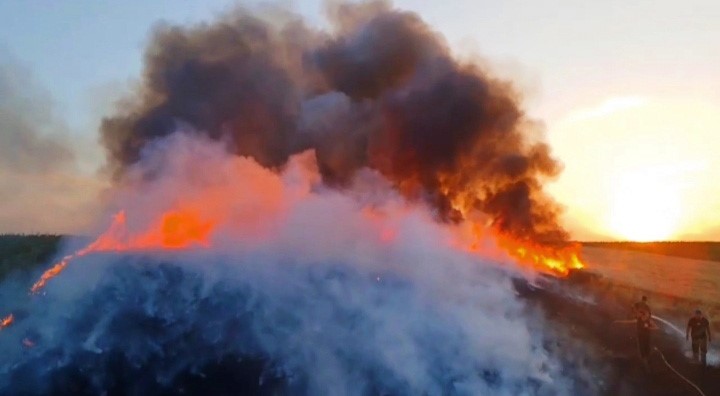 Alev alev yanan buğday tarlasını söndürmek için seferber oldular