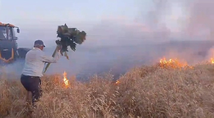 Alev alev yanan buğday tarlasını s&ouml;nd&uuml;rmek i&ccedil;in seferber oldular
