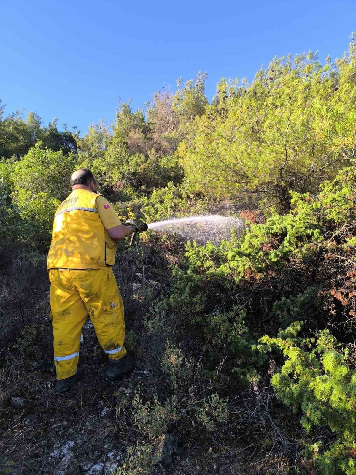 Şuhut Orman İşletme Şefliği ekipleri yangın b&ouml;lgesinde
