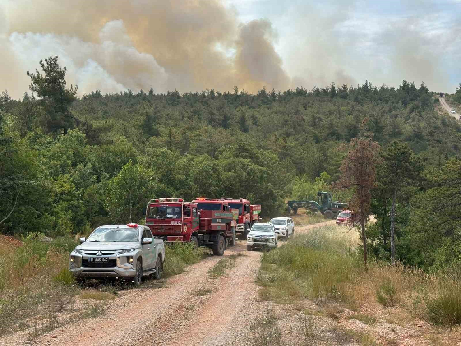 Bilecik’te 2 köyün tahliye edildiği yangın kontrol altına alındı