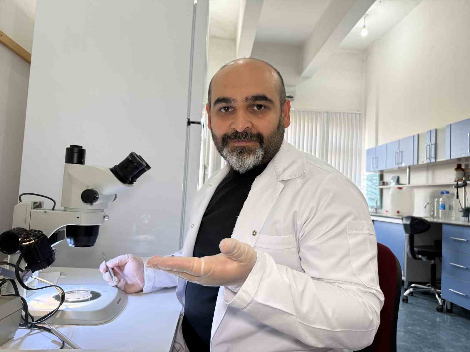 Prof. Dr. Keskin: "Keneyi strese sokacak uygulamalardan kaçınalım"