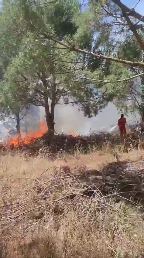 Bursa’da ağaçlık alanda çıkan yangına müdahale ediliyor