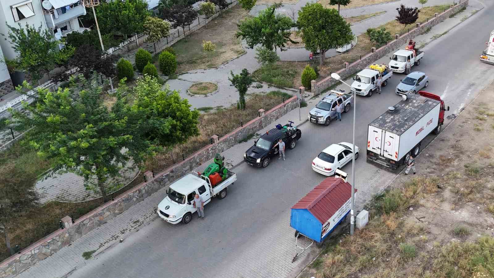 Nazilli Belediyesi’nden haşere ile etkin mücadele